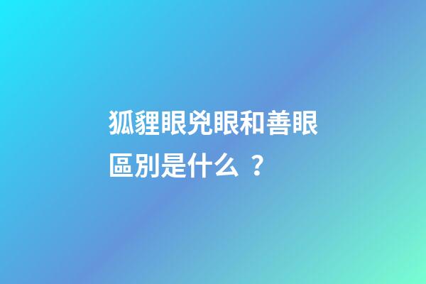 狐貍眼兇眼和善眼區別是什么？